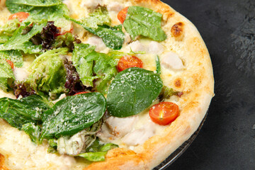pizza with chicken, herbs, tomatoes and cheese.