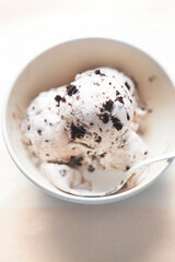 Chocolate cookie vanilla ice creams in bowl 