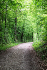 Fototapeta premium Husemersee