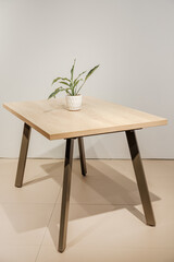 Wooden loft table with home plant in a pot