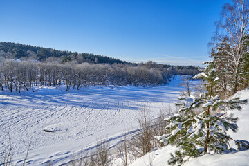 Fototapeta na wymiar Pine tree and frozen Neris river in Vilnius near the forest