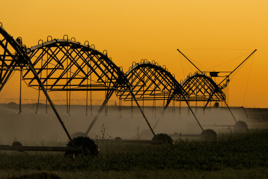 regad&iacute;o autom&aacute;tico industria alimentaria