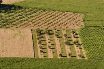 Rural landscape in Dordogne