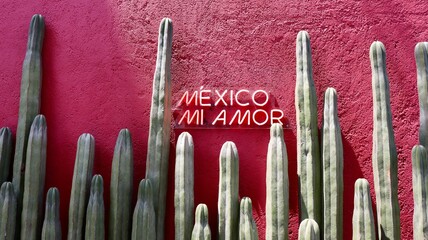 Mexico país lleno de colores.