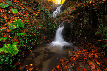 Fototapeta na wymiar It's autumn time. Beautiful waterfall streams and colorful leaves. 