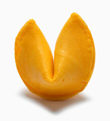 Fortune Cookie Upright