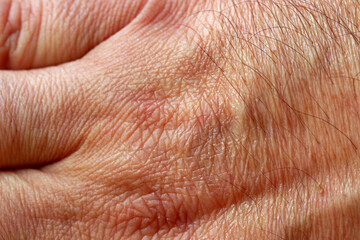 Fototapeta premium close-up hand of a person