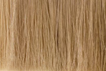 close-up, blonde natural hair.palette for choosing a shade of paint. High quality photo