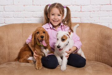 cheerful girl, sitting on the couch, hugs two puppies, a brown spaniel and a white jack russell terrier