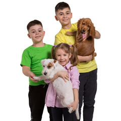 three cheerful children, two boys and one girl, holding two puppies - a brown spaniel and a white jack russell terrier