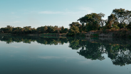 Fototapeta na wymiar Reflection of trees in a pond 
