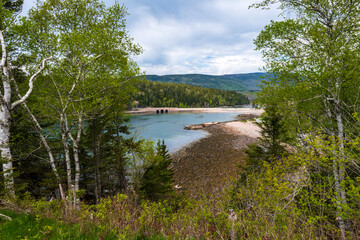 Otter Cove in Acadia National Park