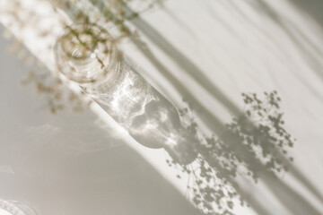 Shadows on a white background from a glass and flowers. Dried flowers in a glass vase in the rays of light.