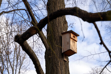 Classic wooden birdhouse on a tree in spring