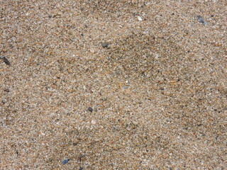 Close up Sunny Beach pebbles sands desert texture