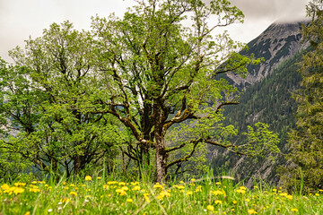 In der Eng Landschaftsschutzgebiet 23
