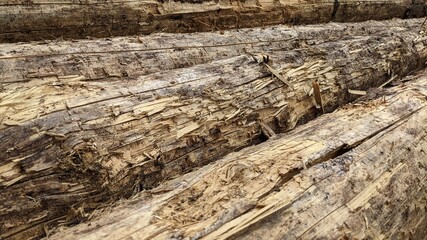 Holzstapel, Fichtenholz, Baustoffmangel