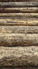 Holzstapel, Fichtenholz, Baustoffmangel