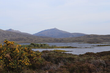 mountain in spring