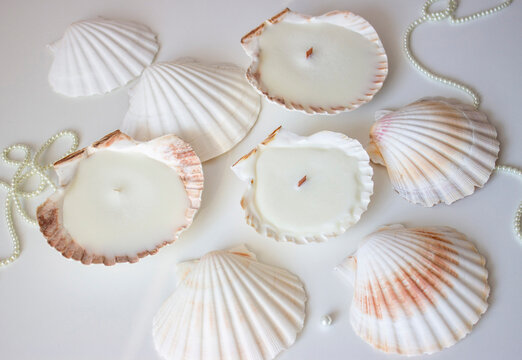Candles shells rapan. Soy wax, wood and cotton wick. Cozy relaxing atmosphere. Hygge. Noble white color. Interior decor. Home, comfort.