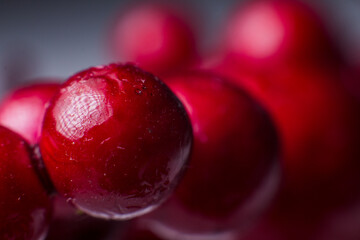 round red ball a background texture macro