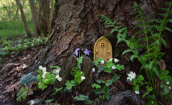 fairytale house in forest. Little rustic wooden fairy door in tree trunk. magic pixie or elf home. eco-home.