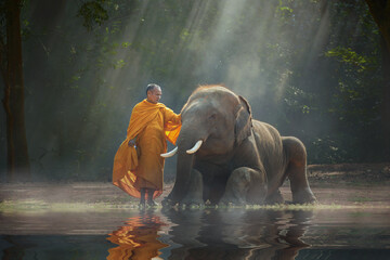 Monk stroking an elephant in the forest at sunrise, Thailand