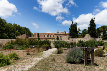 Fototapeta na wymiar Abbaye cistercienne de Valmagne, Hérault, France