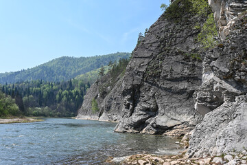 Spring in the nature park.