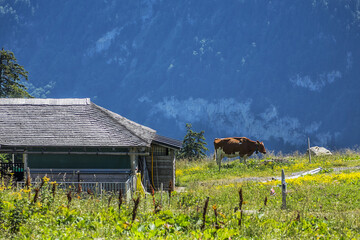 The Col de Jaman (1,512 m) is a mountain pass in the western Swiss Alps. Canton of Vaud, Switzerland. Small settlement.