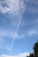 Fototapeta na wymiar 青空に一本の飛行機雲