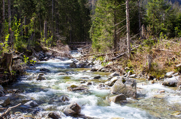 Potok w Tatrach - obrazy, fototapety, plakaty