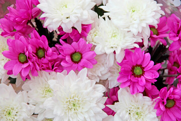 beautifully designed bouquet of white and red chrysanthemums