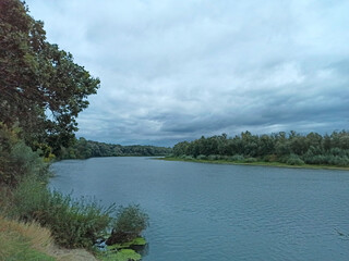 landscape with river with many trees. River in cloudy weather
