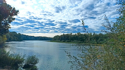 landscape with river with many trees. River in cloudy weather