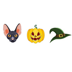 Set of Halloween mascots, black cat, witch hat and carved pumpkin named Jack O Lantern in Cartoon style, Halloween symbols on white isolated background, concept of Halloween and Festivals, Pets.