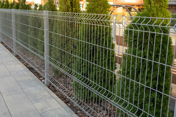 A metal mesh fence encloses a private area. Thuja hedge behind a metal fence. Steel grill. Fence...