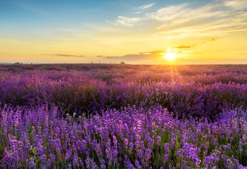Fotobehang Lavendel Beautiful lavender field sunset landscape  © Piotr Krzeslak