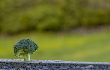 Vegetable with blurry green background, broccoli, fresh and raw.