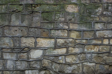 stone wall background covered with moss