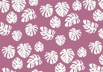 liście monstery © KR Studio