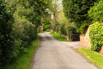 Fototapeta na wymiar Peaceful village lane example