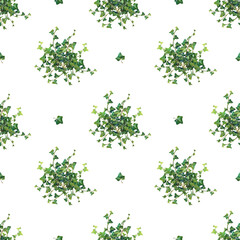 Watercolor botanical seamless pattern with ivy 