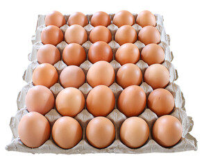 Tray of Eggs