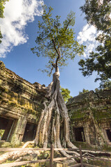 Angkor Wat, Cambodia