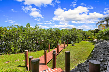 Mangroves in a backyard with a walkway going to a dock from a home