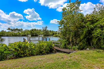 Wooden walkway leading to a dock on the bay with trees all around