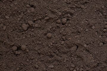 soil background, texture of fertile soil close-up, top view, concept of agriculture, farming,...