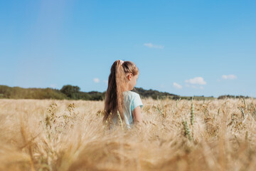 Naklejka na ściany i meble Back view of a girl in a field with spikelets. Unity with nature, the joy of being outdoors. The concept of freedom, loneliness, relaxation