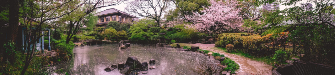 Super wide panorama of beautiful pond at traditional garden and the sakura trees blooming in spring...